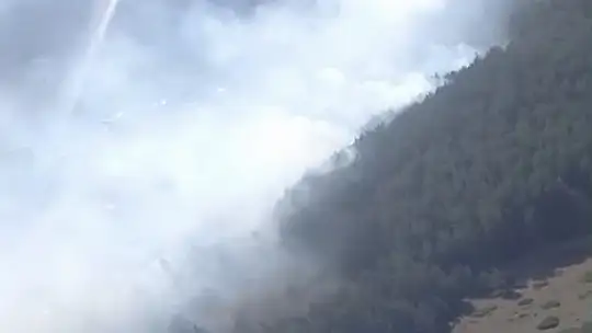 Bolu'da anız yangını ormana sıçradı: 2 helikopter sevk edildi