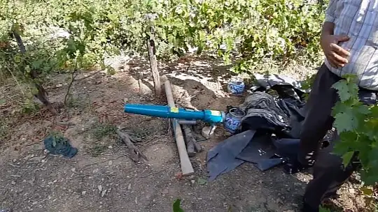 Bolu'da ayılar köylünün kabusu oldu: Düzenekle ayı kovalıyorlar
