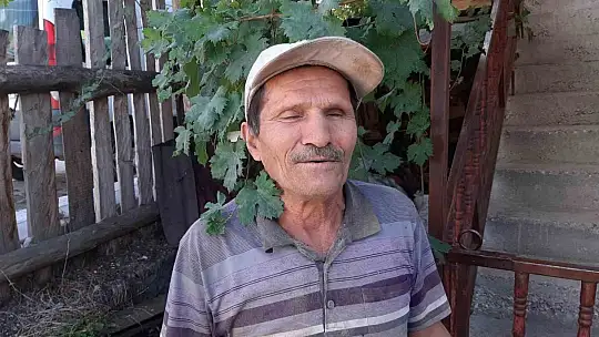Bolu'da ayılar köylünün kabusu oldu: Düzenekle ayı kovalıyorlar