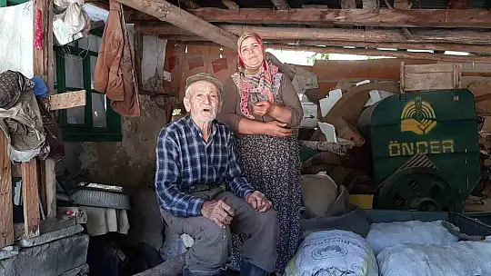 Bolu'da ayılar köylünün kabusu oldu: Düzenekle ayı kovalıyorlar