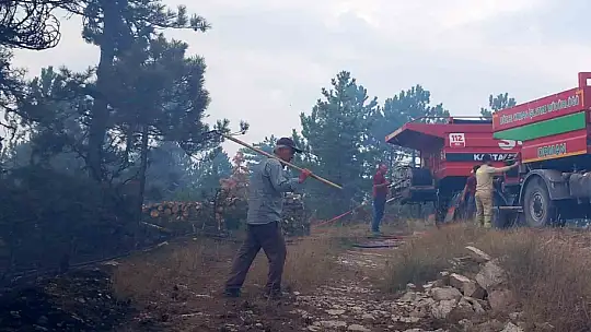 Bolu'da aynı ilçede 2 farklı orman yangını