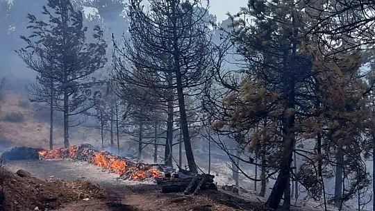 Bolu'da aynı ilçede 2 farklı orman yangını