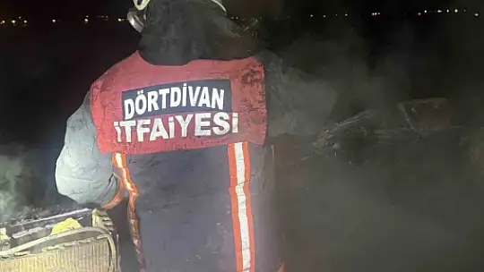 Bolu'da bacadan çıkan yangın 2 katlı evin çatısını sardı