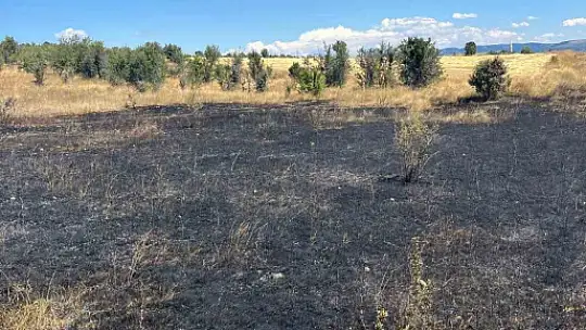 Bolu'da boş arazide yangın