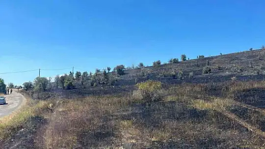 Bolu'da boş arazide yangın