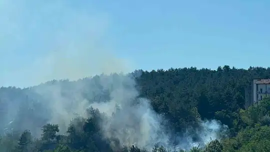 Bolu'da çıkan orman yangını büyümeden söndürüldü