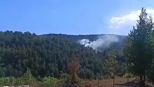 Bolu'da çıkan orman yangını kısa sürede söndürüldü