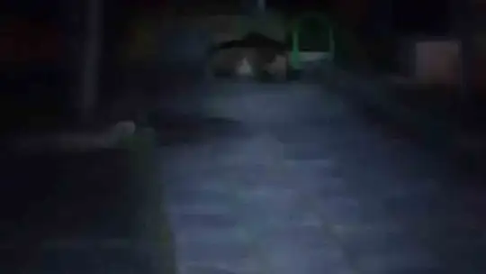 Çocuk parkına ayı girdi