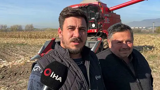Bolu'da dane mısır hasadı başladı