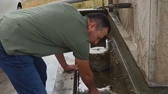 Duyarlı vatandaş, hayvanların su içtiği yosunlu çeşmeyi temizledi