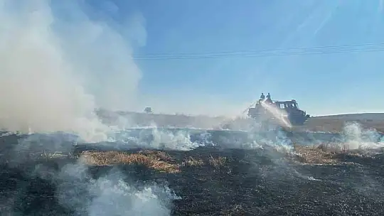 Bolu'da elektrik direğinden çıkan yangında 8 dekar alan zarar gördü