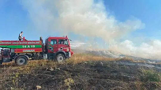 Bolu'da elektrik direğinden çıkan yangında 8 dekar alan zarar gördü