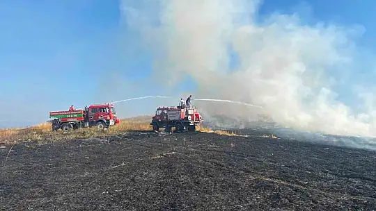 Bolu'da elektrik direğinden çıkan yangında 8 dekar alan zarar gördü