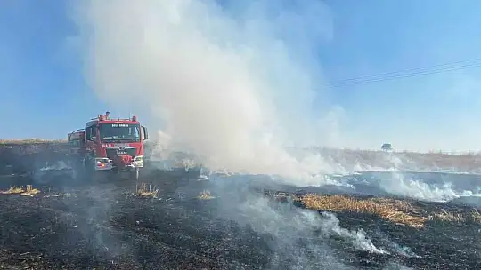 Bolu'da elektrik direğinden çıkan yangında 8 dekar alan zarar gördü