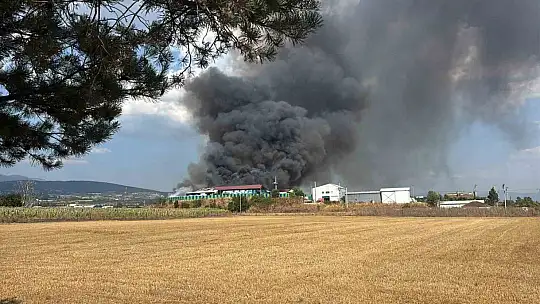 Bolu'da geri dönüşüm tesisinde yangın
