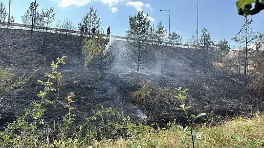 Bolu'da gişelerin girişinde otluk alanda yangın
