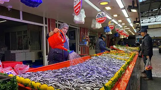 Bolu'da hamsinin kilosu 150 liraya düştü