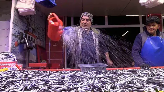 Bolu'da hamsinin kilosu 150 liraya düştü