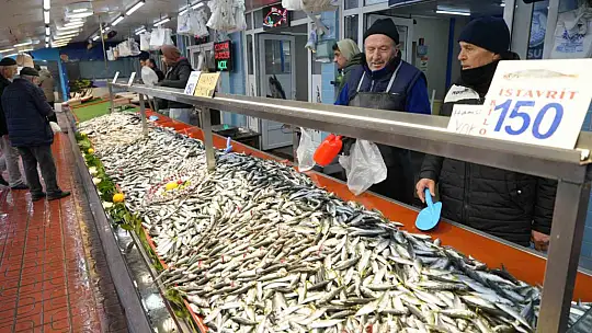 Bolu'da hamsinin yokluğu fiyatları yükseltti