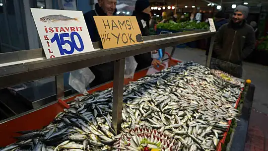 Bolu'da hamsinin yokluğu fiyatları yükseltti