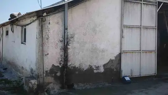 Facianın eşiğinden dönüldü