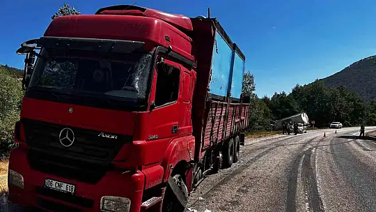 Bolu'da iki kamyon çarpıştı: 1 yaralı