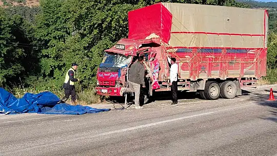 İki kamyon kafa kafaya çarpıştı: Samanlar yola saçıldı, 2 yaralı