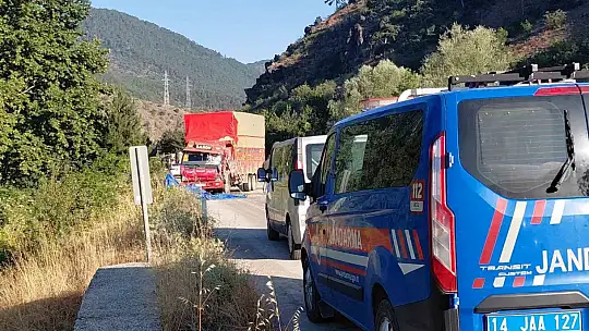 İki kamyon kafa kafaya çarpıştı: Samanlar yola saçıldı, 2 yaralı