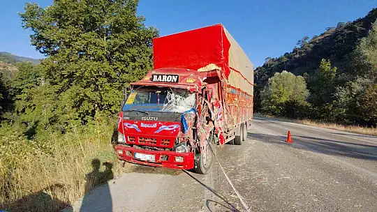 İki kamyon kafa kafaya çarpıştı: Samanlar yola saçıldı, 2 yaralı