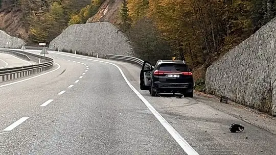 Bolu'da istinat duvarına çarpan araç, ağır hasar aldı