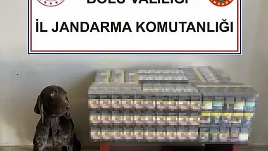 Bolu'da kaçak sigara operasyonu: Binlerce kaçak ürün ele geçirildi