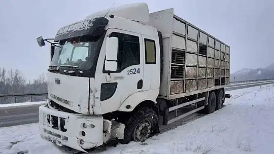 Bolu'da kamyon ile hafif ticari araç çarpıştı: 2 yaralı