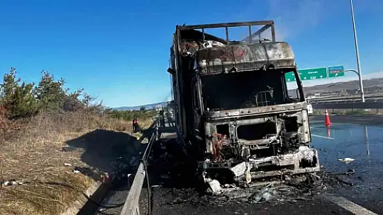 Kargo yüklü tır alev alev yandı
