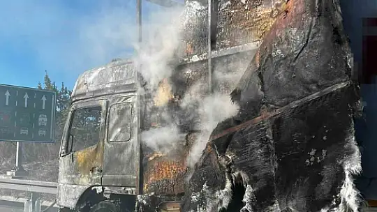 Kargo yüklü tır alev alev yandı