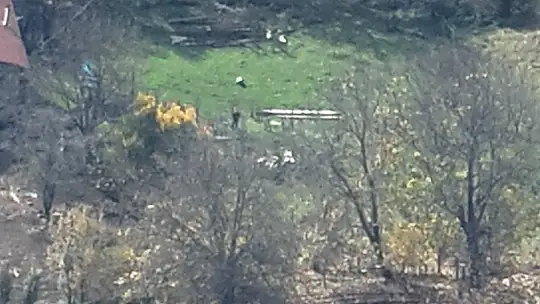 Bolu'da kayıp hayvanlar dronla bulundu