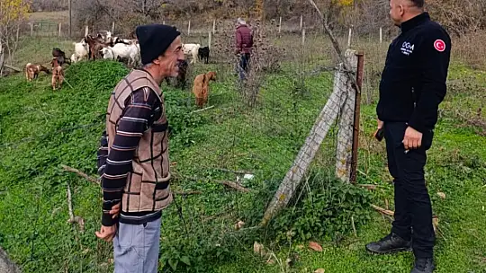 Bolu'da kayıp hayvanlar dronla bulundu
