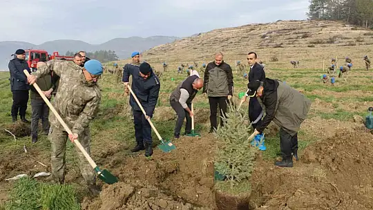 Bolu'da komandolar yeşil vatanda geleceğe nefes oldu