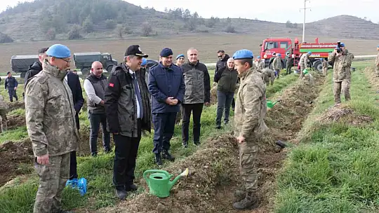 Bolu'da komandolar yeşil vatanda geleceğe nefes oldu