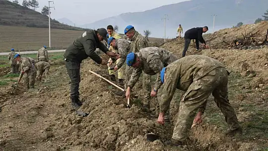 Bolu'da komandolar yeşil vatanda geleceğe nefes oldu