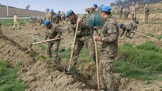 Bolu'da komandolar yeşil vatanda geleceğe nefes oldu