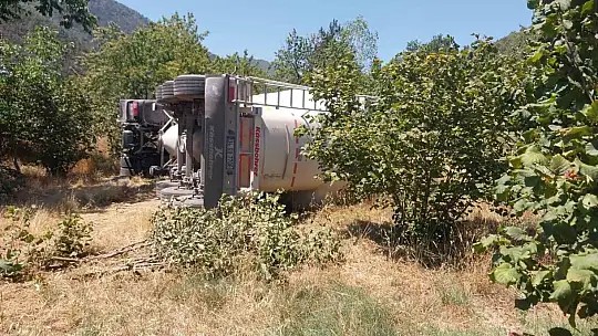 Bolu'da kontrolden çıkan tır fındık bahçesine devrildi