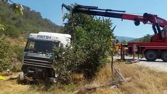 Bolu'da kontrolden çıkan tır fındık bahçesine devrildi