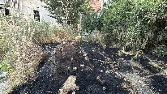 Korkutan ot yangını: İtfaiyeyi beklemeden kova ve hortumlarla söndürdüler