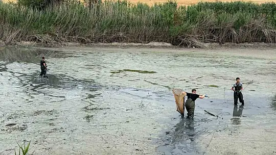 Bolu'da, kuruyan gölette mahsur kalan balıklar kurtarıldı