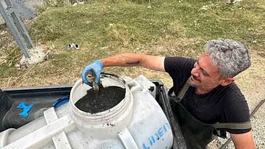 Bolu'da, kuruyan gölette mahsur kalan balıklar kurtarıldı