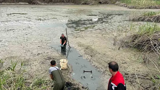 Bolu'da, kuruyan gölette mahsur kalan balıklar kurtarıldı