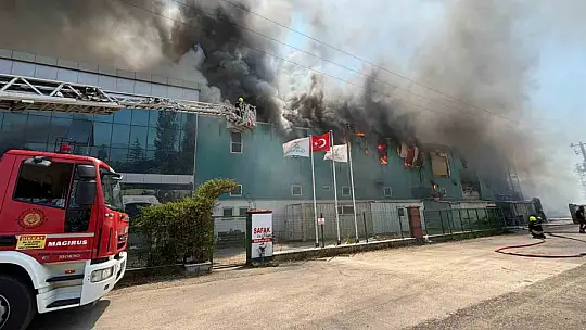 Bolu'da medikal fabrikasında yangın çıktı