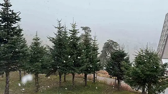 Bolu'da mevsimin ilk karı yağdı
