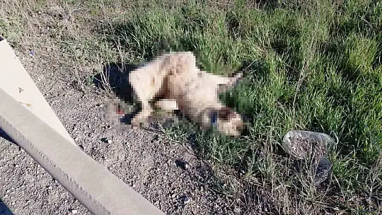 Bolu'da motosikletler peş peşe kaza yaptı: 2 yaralı