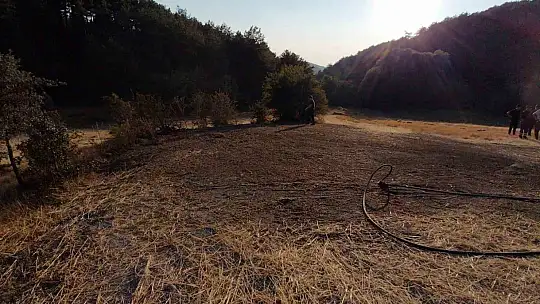 Bolu'da orman kenarında anız yangını: Köylülerin su tankerli müdahalesi faciayı önledi